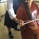 お悩み解決！楽しいコントラバス☆オンラインレッスンの講座の風景
