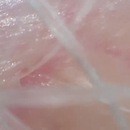 抜け毛は防げる！髪とシニアのキャリアを輝かせます！の講座の風景