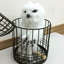 羊毛フェルトと編み物教えます♡の講座の風景