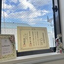 正しいブラッシングと口腔ケア教室の開催する講座の風景