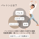 楽しく脂肪燃焼 & 美しく姿勢改善エクササイズの講座の風景