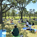 BANYAN TREE YOGA𓇼ーヨガサークルーの講座の風景