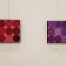 癒し・健康・美容・韓国語まで、何でも教えます。の講座の風景