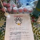 獣医師監修！ペットアロマホームケアの講座の風景