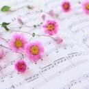 基礎と演奏のコツが楽しく学べる♪ピアノレッスンの講座の風景