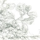 生き生きした絵は生き生きした人生を創るの講座の風景