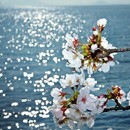 初心者向け 省略されがちなカメラの操作から伝授の講座の風景