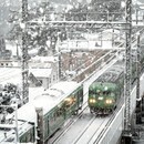 初心者向け 省略されがちなカメラの操作から伝授の講座の風景