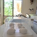 気泡/クープ/エッジを叶える本格ハードパン作りの講座の風景