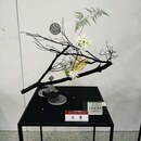 日常に彩りを！池坊いけばな教室の講座の風景