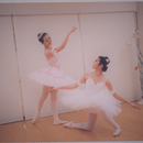 La Primaveraの開催する講座の風景