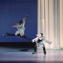 La Primaveraの開催する講座の風景