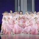 La Primaveraの開催する講座の風景