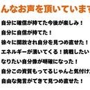 才能発見✨コミュ力UP✨滑舌✨なりたいをサポート🌈の講座の風景