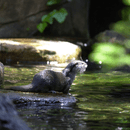 実践！体験しなくちゃ意味が無い！の講座の風景