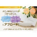 セラピスト育成スクールTSMA＆サロンの開催する講座の風景