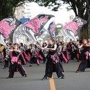 楽しく身体を動かしてリフレッシュしませんか？の講座の風景