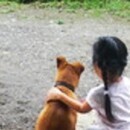 あなたがあなた自身と向き合うお手伝いをしますの講座の風景