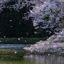 カメラがくれる、撮る楽しみと豊かな時間！の講座の風景