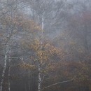 カメラがくれる、撮る楽しみと豊かな時間！の講座の風景