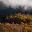 カメラがくれる、撮る楽しみと豊かな時間！の講座の風景