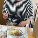 心と体に寄り添う香り、人とペットの幸せをサポートの講座の風景
