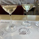 婚活・ビジネスで使えるワイン講座（初心者～中級者）の講座の風景