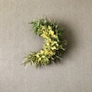 市場直送の新鮮なお花で、癒されるフラワーレッスンの講座の風景