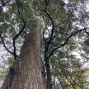 あなたの望む未来を叶える＊美l LIFEデザイナーの講座の風景