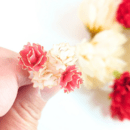 💞かわいいをいつまでも💞の講座の風景