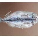 なぜ幸せな人とそうでない人が？答えは潜在意識の中にの講座の風景