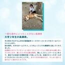 話すための英語トレーニング 英会話　の講座の風景