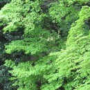 人間関係の悩みと心の整理を支援する公認心理師の講座の風景
