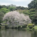 人間関係の悩みと心の整理を支援する公認心理師の講座の風景
