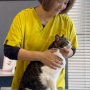 うちの子と、わたし自身の“心と体”を整える。の講座の風景