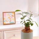 色を自由に使えるように！基礎知識と心のケアの講座の風景