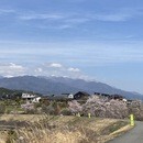 ドライフラワー講座安くて手軽でゴージャスにの講座の風景