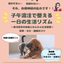 うちの子と、わたし自身の“心と体”を整える。の講座の風景