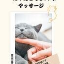 うちの子と、わたし自身の“心と体”を整える。の講座の風景
