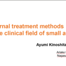 うちの子と、わたし自身の“心と体”を整える。の講座の風景