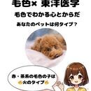 うちの子と、わたし自身の“心と体”を整える。の講座の風景