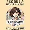 うちの子と、わたし自身の“心と体”を整える。の講座の風景