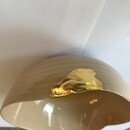 コツを伝授！一生物ですの講座の風景