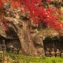 ハイキングで知る鎌倉＆三浦半島の魅力の講座の風景
