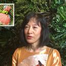 iPhoneいいね！ビジネス活用講座の開催する講座の風景