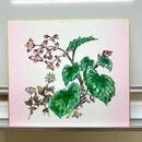現役の日本画家が教える日本画教室です。の講座の風景