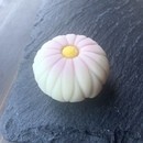 管理栄養士が教えるお家で作れるようになる和菓子♡の講座の風景