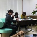 ペットアロマホームケア　～続けられるアロマケア～の講座の風景
