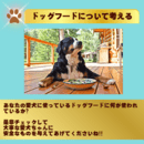 愛犬と飼い主の健康を、心・体・意識から整える専門家の講座の風景