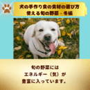 愛犬と飼い主の健康を、心・体・意識から整える専門家の講座の風景